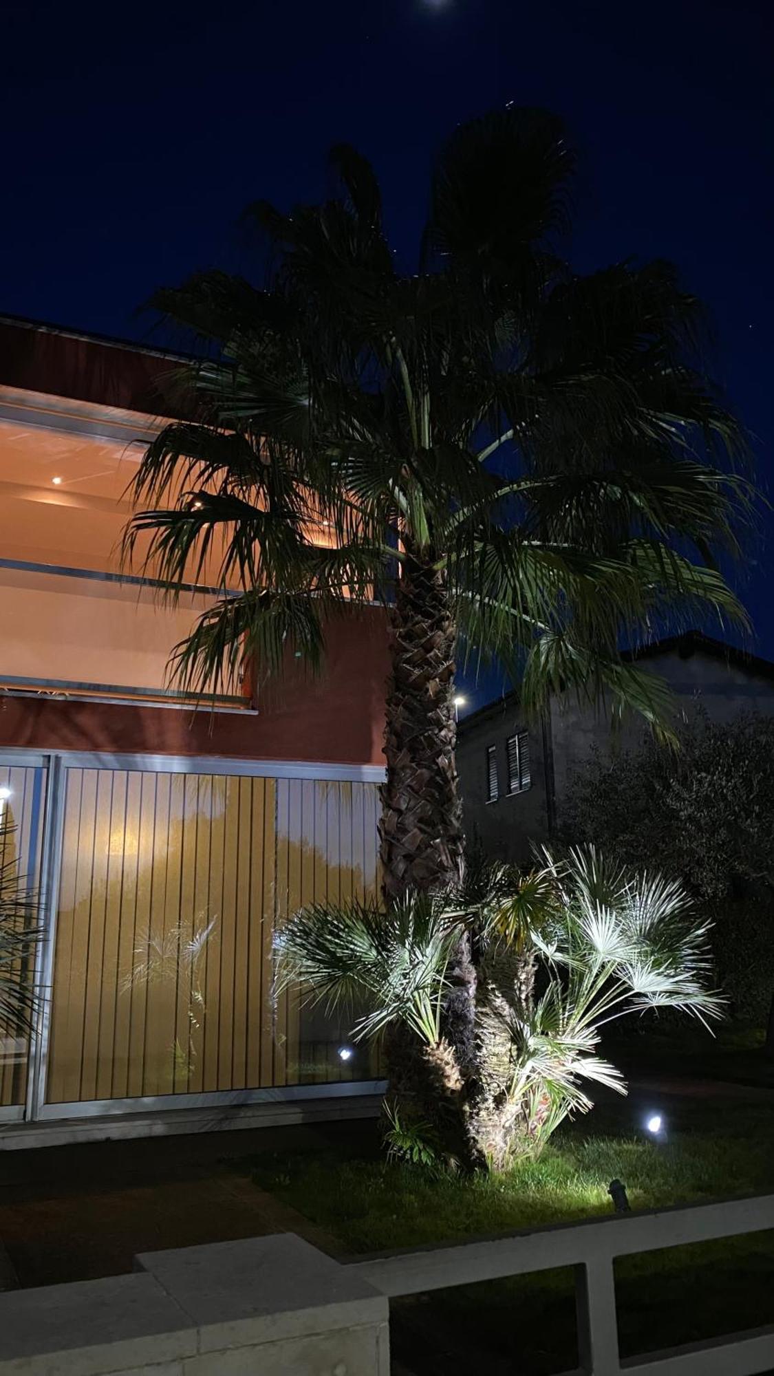Ivni Apartmani Novigrad  Exterior photo